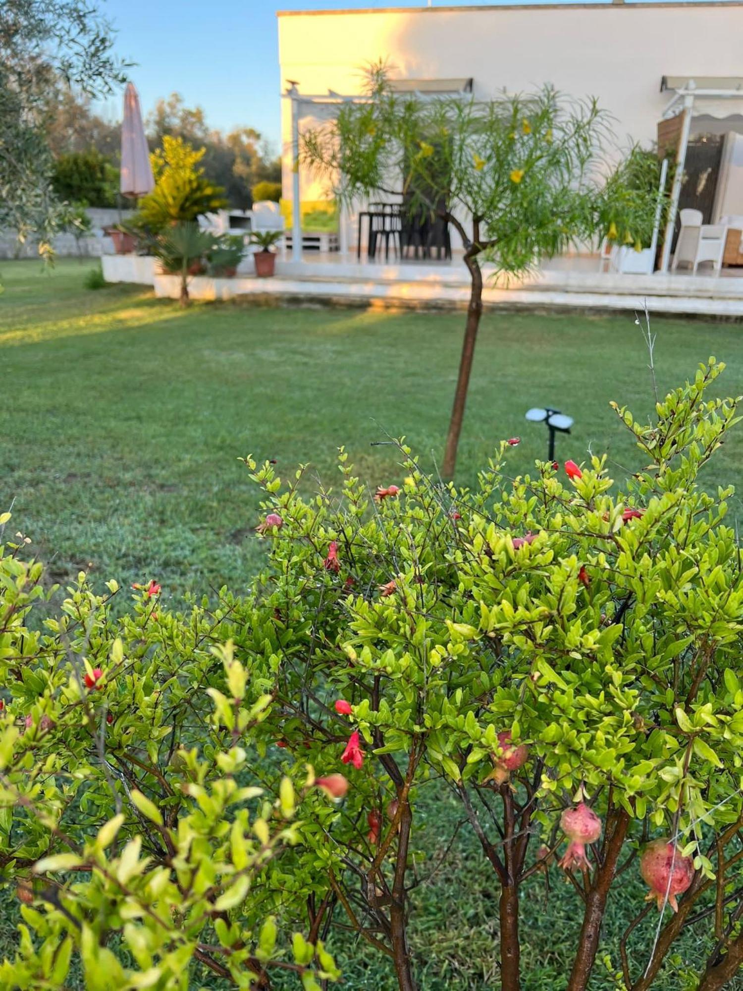 Salento Villa Don Peppino San Foca Εξωτερικό φωτογραφία